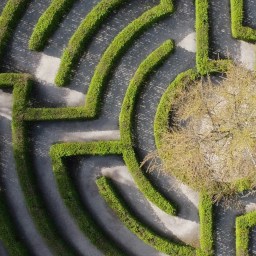 An aerial view of a hedge labyrinth